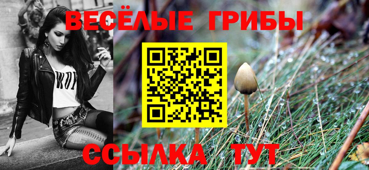 Галлюциногенные грибы Psilocybine cubensis Усть-Кут
