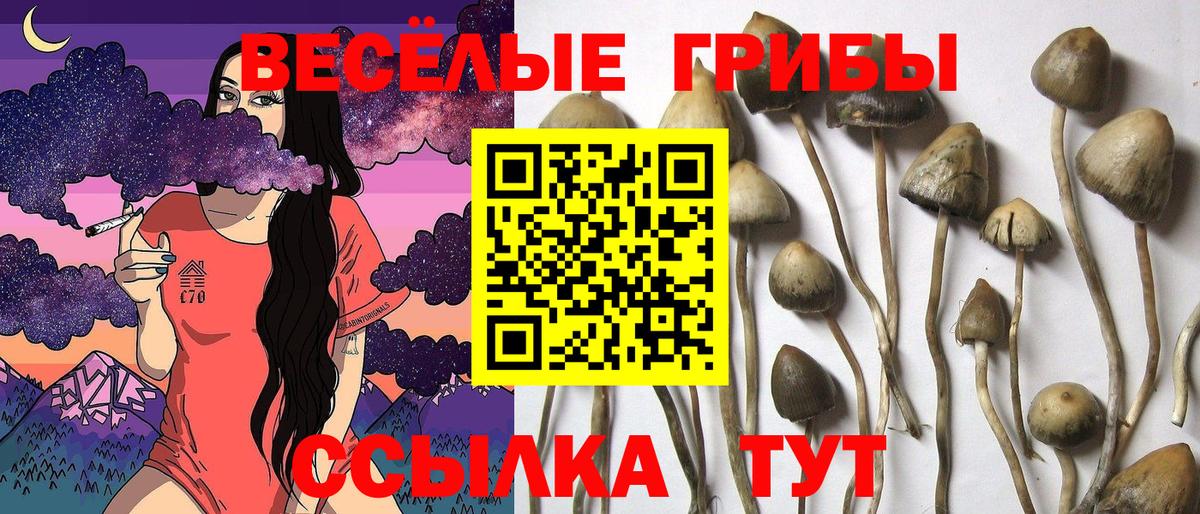Галлюциногенные грибы мицелий  Вход с VPN  Усть-Кут 